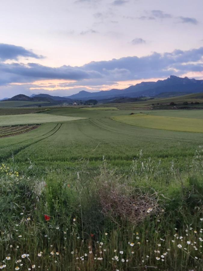 Durmiendo Como Reyes En La Rioja Cihuri Exteriér fotografie