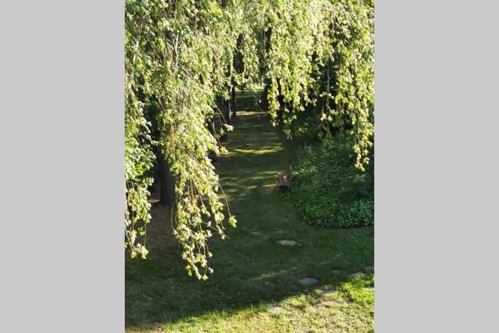 Durmiendo Como Reyes En La Rioja Cihuri Exteriér fotografie